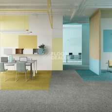 IVC Balanced Hues Коллекция Balanced Hues Balanced Hues 536 фото 2 | FLOORDEALER